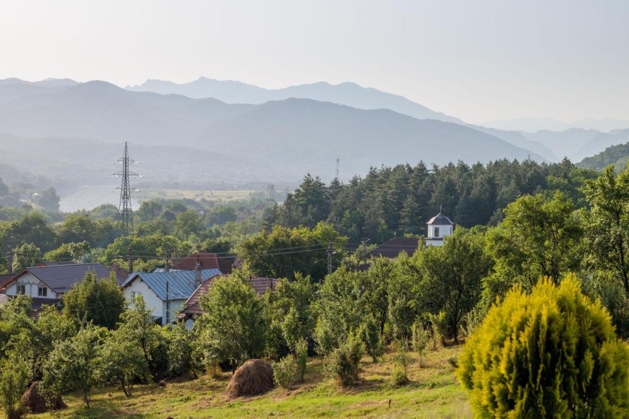 Agropensiunea Andrei & Ianis Daesti Exterior foto